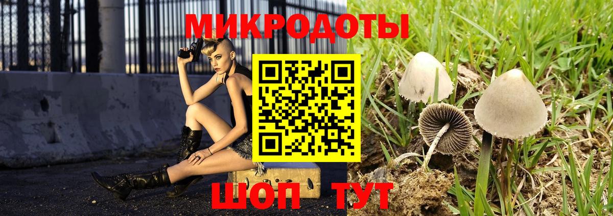 Дербент  Галлюциногенные грибы GOLDEN TEACHER  Вход с VPN  Псилоцибиновые грибы Psilocybine cubensis 
